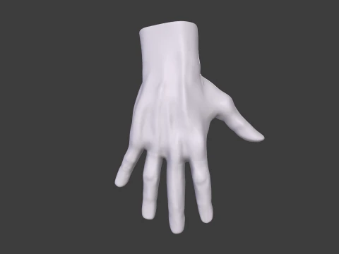 3D Hand Model Collection for Character Design 3D Model