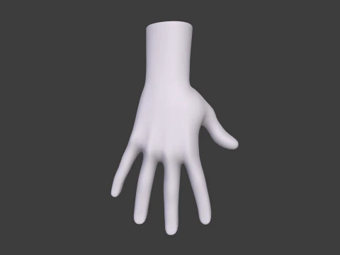 3D Hand Model Collection for Character Design 3D Model