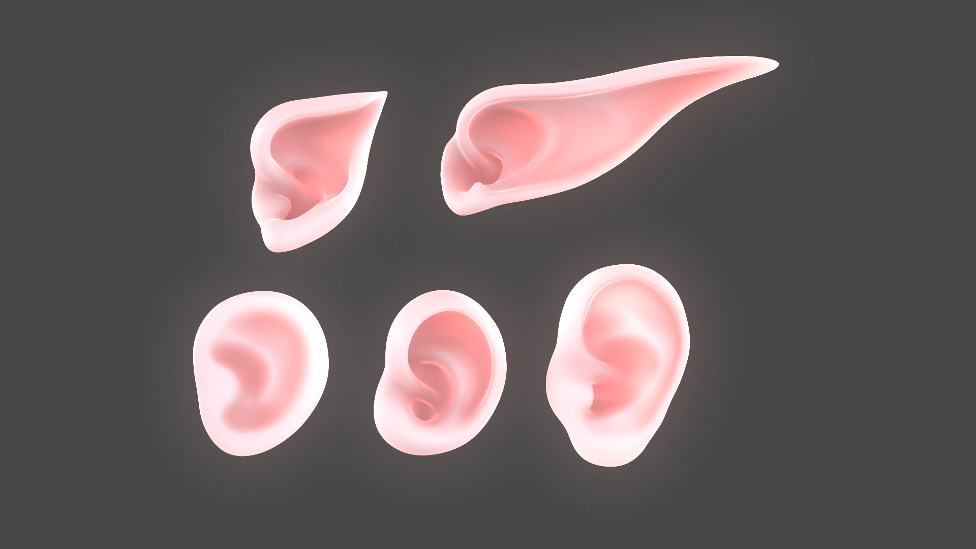 Versatile Ear Base Mesh Pack - 5 Stylized and Realistic Ears 3D Model .c4d .max .obj .3ds .fbx .stl .blend 