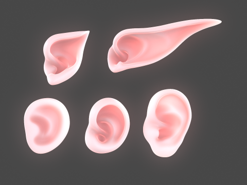 Versatile Ear Base Mesh Pack - 5 Stylized and Realistic Ears 3D Model