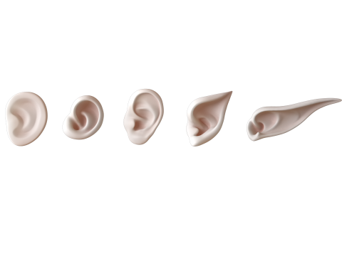 Versatile Ear Base Mesh Pack - 5 Stylized and Realistic Ears 3D Model