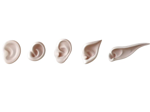 Versatile Ear Base Mesh Pack - 5 Stylized and Realistic Ears 3D Model