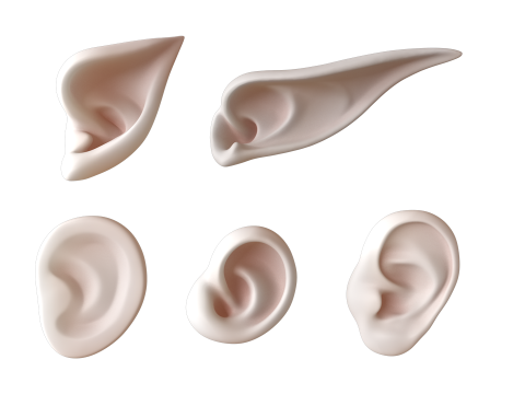 Versatile Ear Base Mesh Pack - 5 Stylized and Realistic Ears 3D Model