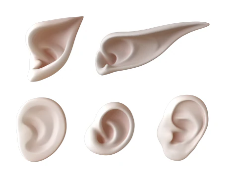 Versatile Ear Base Mesh Pack - 5 Stylized and Realistic Ears 3D Model