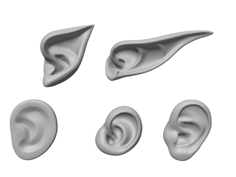 Versatile Ear Base Mesh Pack - 5 Stylized and Realistic Ears 3D Model