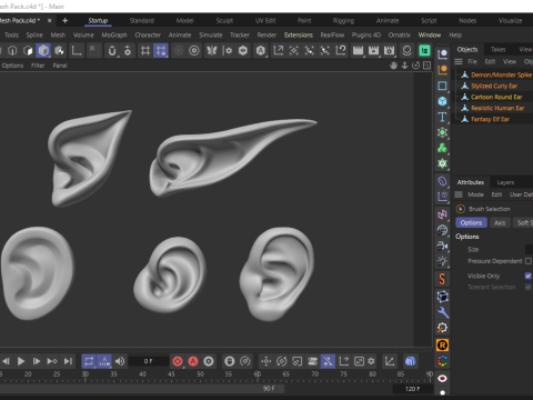 Versatile Ear Base Mesh Pack - 5 Stylized and Realistic Ears 3D Model