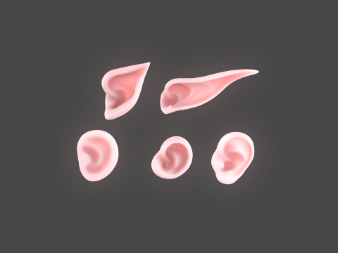 Versatile Ear Base Mesh Pack - 5 Stylized and Realistic Ears 3D Model