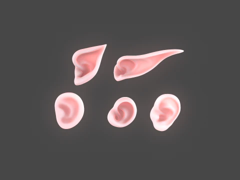 Versatile Ear Base Mesh Pack - 5 Stylized and Realistic Ears 3D Model