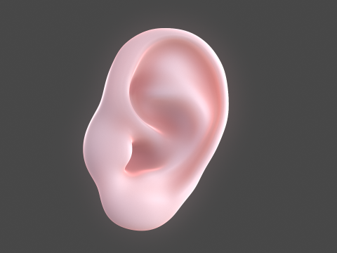Versatile Ear Base Mesh Pack - 5 Stylized and Realistic Ears 3D Model