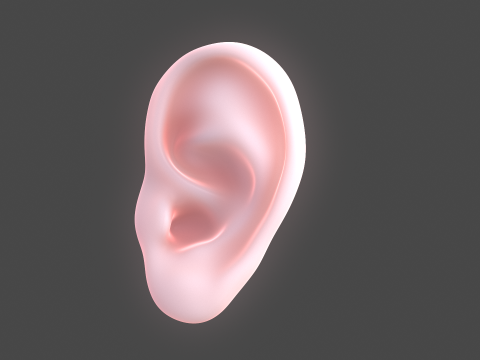 Versatile Ear Base Mesh Pack - 5 Stylized and Realistic Ears 3D Model