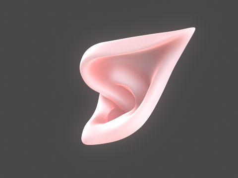 Versatile Ear Base Mesh Pack - 5 Stylized and Realistic Ears 3D Model
