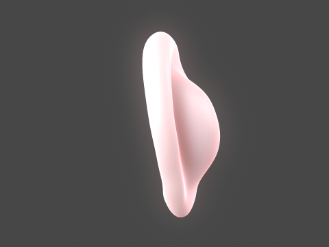 Versatile Ear Base Mesh Pack - 5 Stylized and Realistic Ears 3D Model