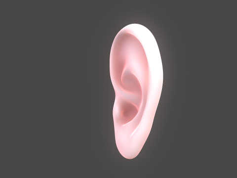 Versatile Ear Base Mesh Pack - 5 Stylized and Realistic Ears 3D Model