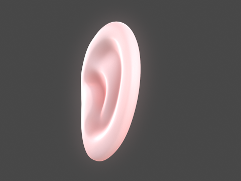 Versatile Ear Base Mesh Pack - 5 Stylized and Realistic Ears 3D Model