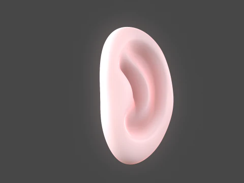 Versatile Ear Base Mesh Pack - 5 Stylized and Realistic Ears 3D Model