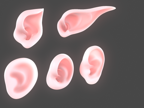 Versatile Ear Base Mesh Pack - 5 Stylized and Realistic Ears 3D Model