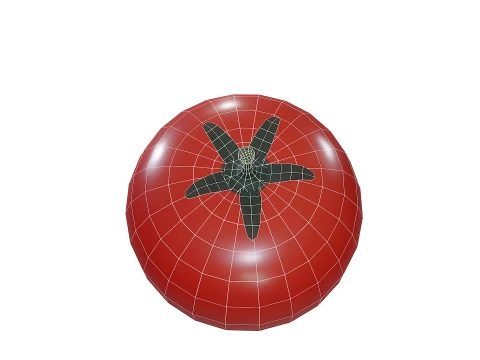 Stylized Tomato Low Poly 3D Model