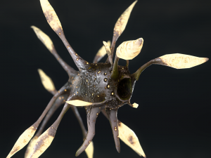 luminous monster 3D Model