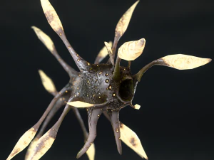 mostro luminoso Modello 3D