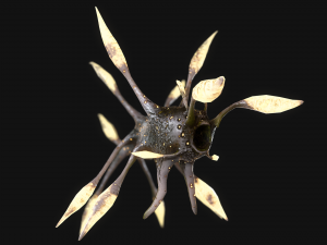 luminous monster Model 3D