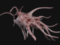 Tentacle Monster 3D Model