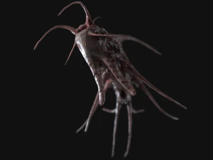 monstro tent&aacute;culo Modelo 3D