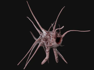 monstro tent&aacute;culo Modelo 3D