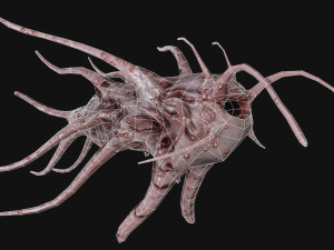 tentacle monster Modèle 3D