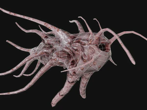 monstro tent&aacute;culo Modelo 3D