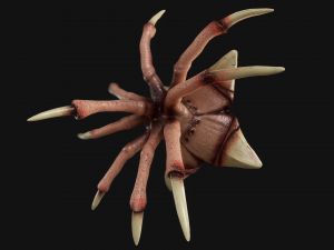 heavy bone monster Modello 3D