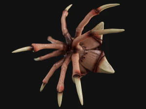 heavy bone monster 3D Model