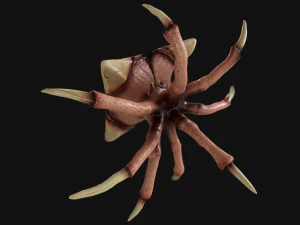 heavy bone monster 3D Model
