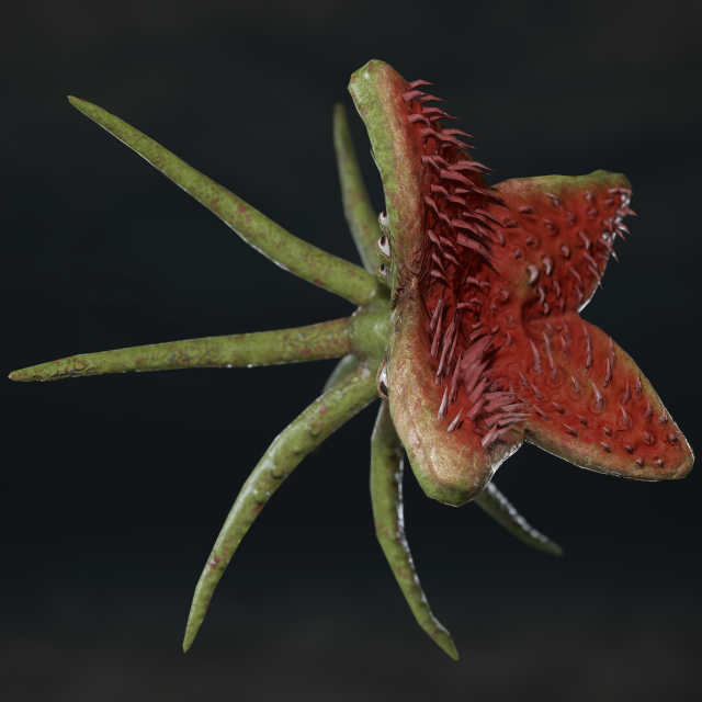 looking monster 3D Model .c4d .max .obj .3ds .fbx .stl .blend 