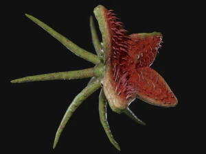 dall'aspetto mostruoso Modello 3D