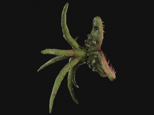 looking monster 3D Model