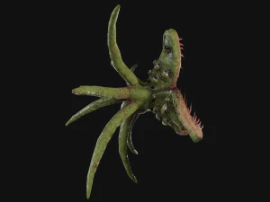dall'aspetto mostruoso Modello 3D