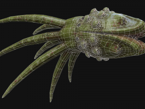 looking monster 3D Model