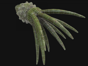 looking monster 3D Model