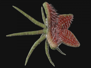 looking monster 3D Model