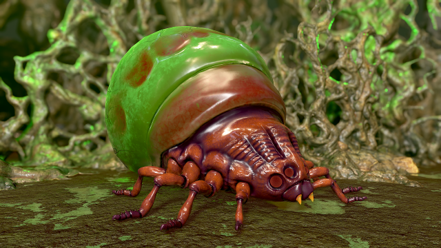 insect - poison beatle Model 3D .c4d .max .obj .3ds .fbx .stl .blend 
