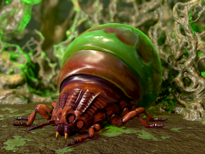 insect - poison beatle Model 3D