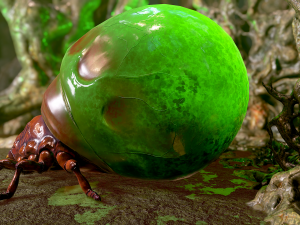insect - poison beatle Model 3D