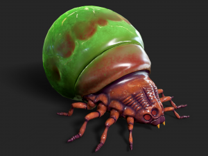 insect - poison beatle Model 3D