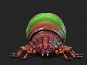 insect - poison beatle Model 3D