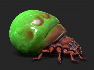insect - poison beatle Model 3D