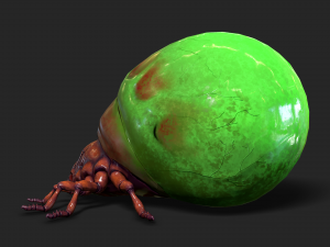 insect - poison beatle Model 3D