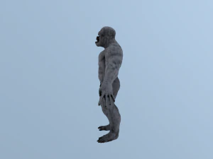 characteryeti 3D Model