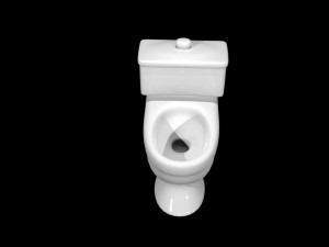 beautiful toilet 3D 모델