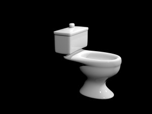 beautiful toilet 3D 모델