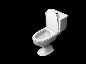toilet fast 3D Model